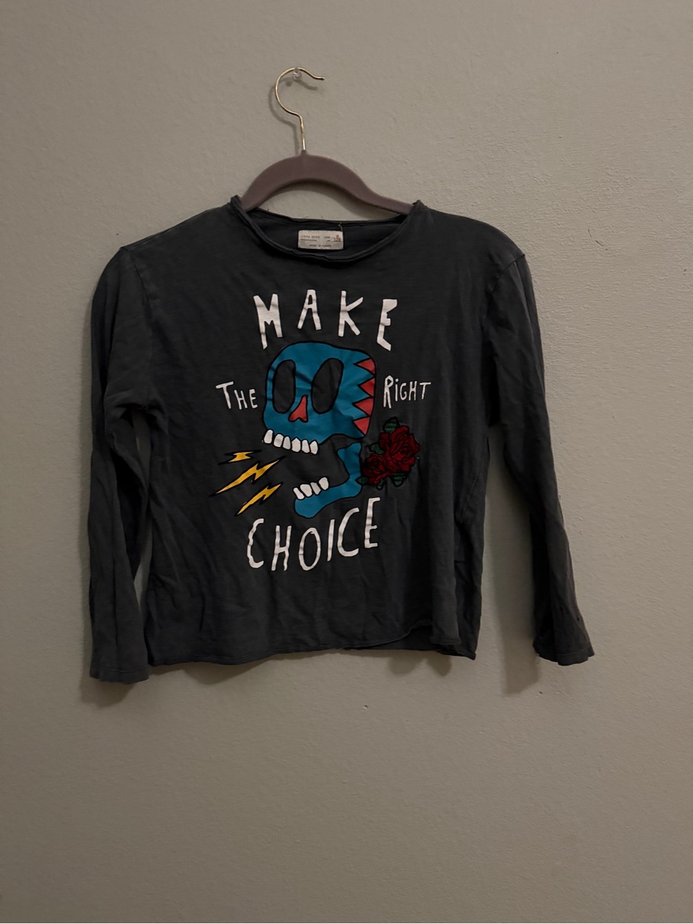 Zara Gray Long-Sleeve Graphic Tee with Blue Skull and Red Rose